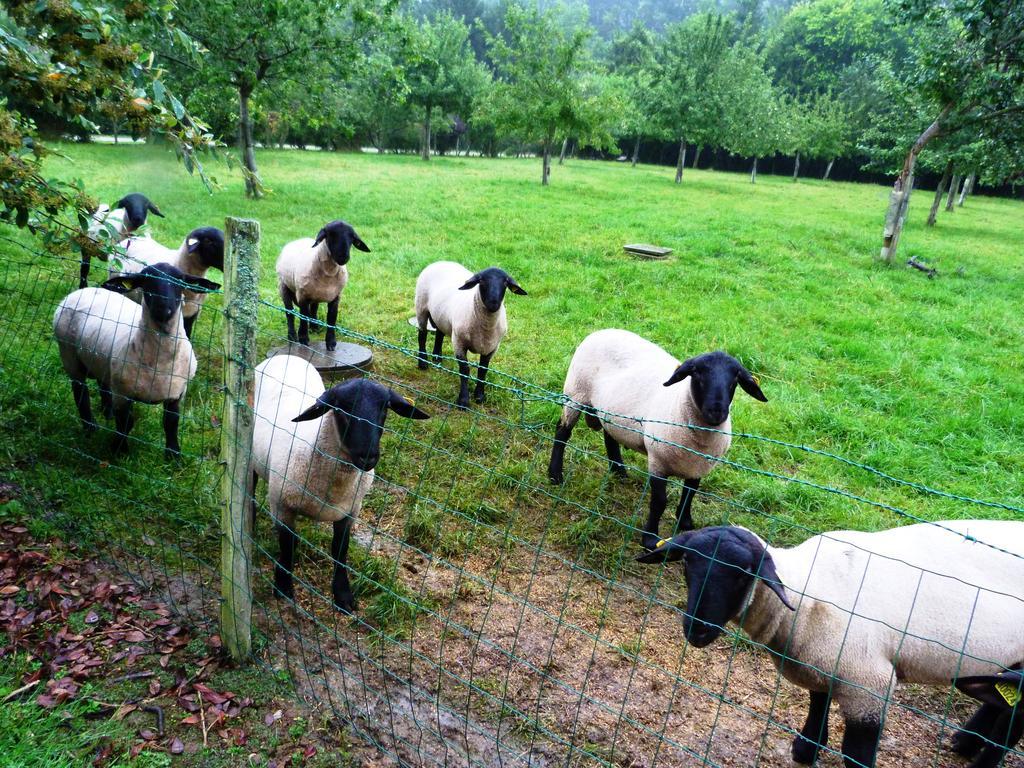 Ferme Des Chartroux Ξενοδοχείο Maresville Εξωτερικό φωτογραφία